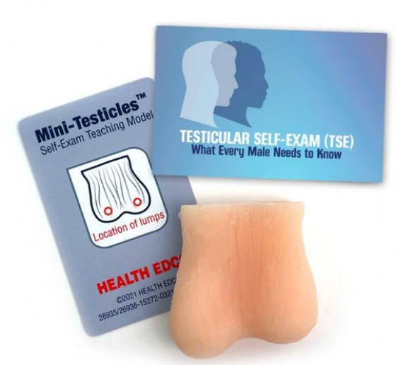 MINI TESTICLES